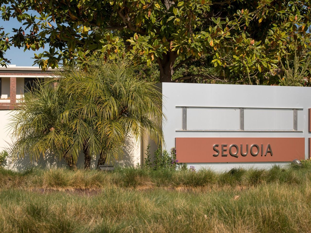 30m sequoia streetjournal