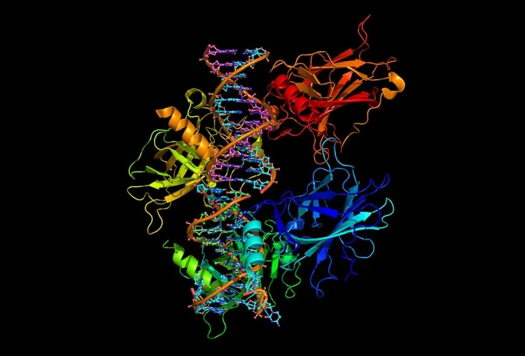 Protein Shots: A Comprehensive Analysis