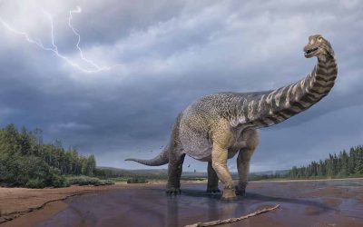 Unveiling the Behemoth: Exploring the World of the Largest Omnivore Dinosaur