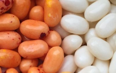 The Enigma of Dead Fish Jelly Bean: A Bizarre Culinary Adventure