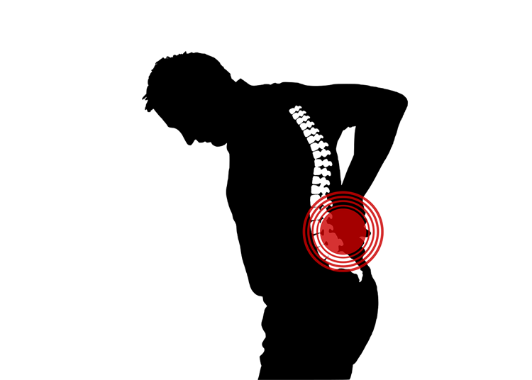 Embrace Life Chiropractic: Nurturing Health Through Natural Healing