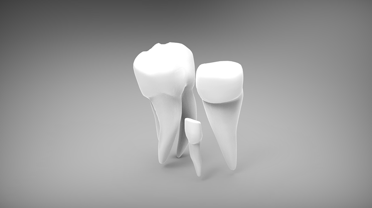 6 Questions To Ask Before Choosing Your Family Dentist